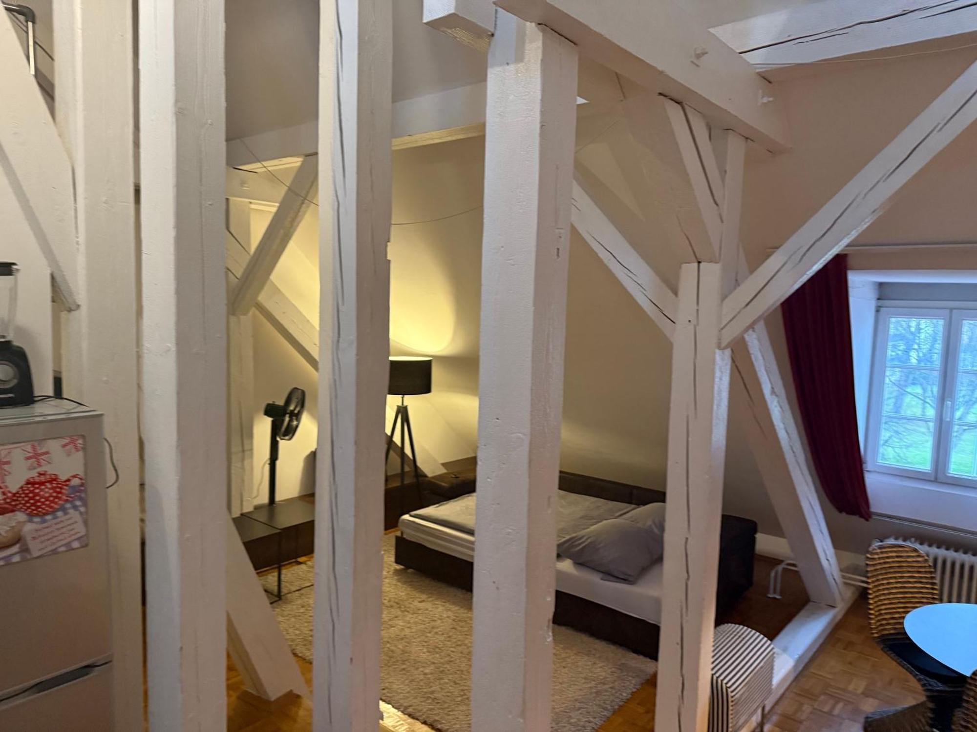 Whliving - Apartments & Studios In 콘스탄츠 외부 사진